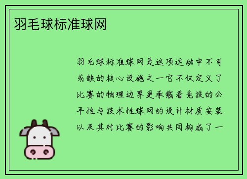 羽毛球标准球网